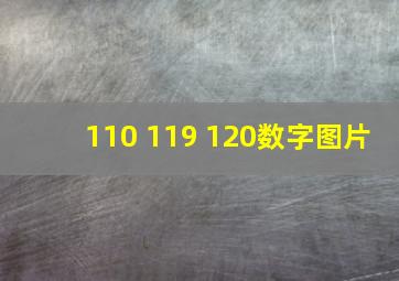 110 119 120数字图片